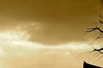 Japanese temple roof silhouetted against the darkening sky
