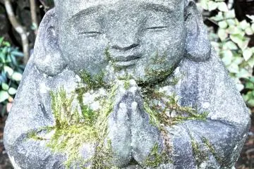 <p>In silent prayer</p>