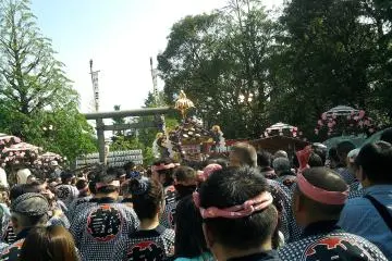 <p>ขบวนแห่ Mikoshi</p>