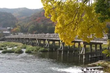 Togetsu-kyo Bridge (Photo: Ryohei / JT)