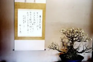 <p>Calligraphy scroll hangs next to a bonsai plum in a blue dish</p>