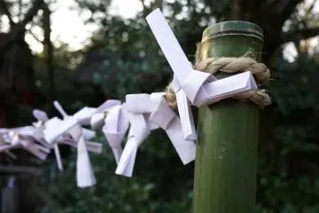 <p>ผู้เข้าชมศาลเจ้าหลายซื้อ omikuji (เอกสารการทำนายโชคชะตา) แล้วผูกเอกสารพับลงบนสถานที่ในศาลเจ้า</p>