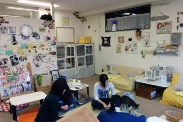 <p>บรรยากาศของคาเฟ่</p>