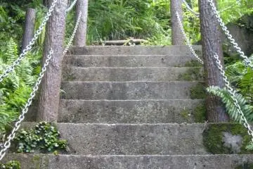 <p>ทางขึ้นสู่ยอดเขา</p>
