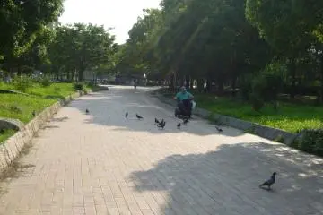 Enjoying a great stroll