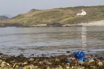 <p>The coastline provides plenty today</p>