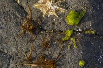 <p>A close-up of one of the rocks</p>