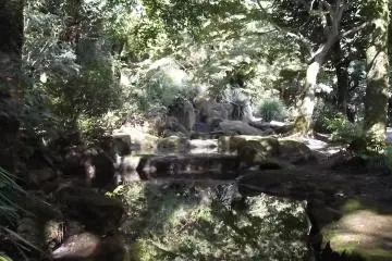 <p>The grove of shady trees around the base of the hill</p>