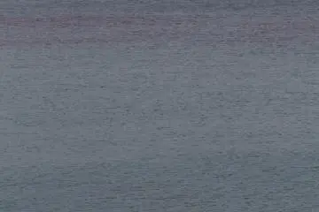 일본 바다