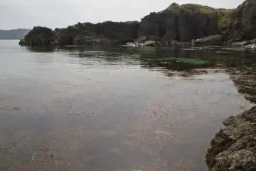 산호 블루 해변은 그 절벽 바로 뒤
