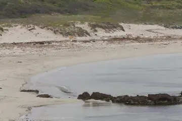 <p>The beach</p>