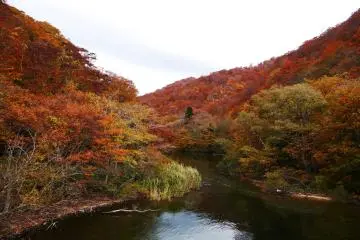 <p>By the river</p>