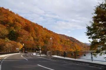 <p>Red Mountain</p>