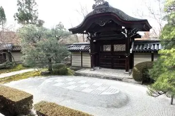 <p>The garden</p>