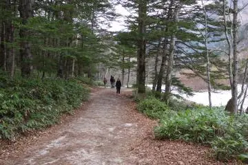 <p>ทางเดินไปสะพาน Myojin&nbsp;</p>