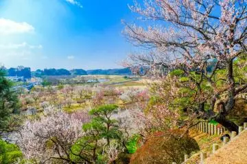 Kairakuen Garden