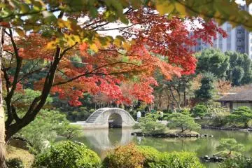 Shukkeien Garden