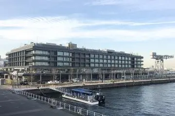Yokohama Hammerhead