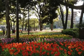 Parque Yokohama