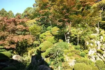 Temple Garden
