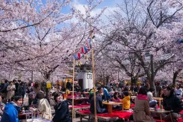 Maruyama Park