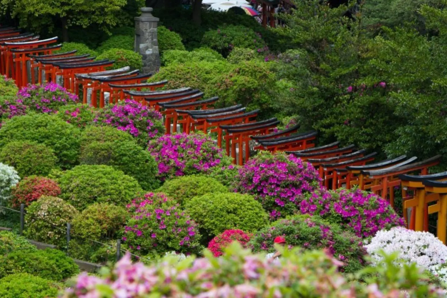 Nezu Shrine - main photo