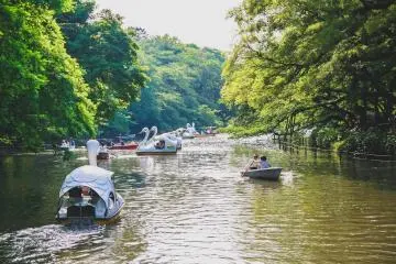 Inokashira Park