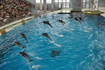 Hakkeijima Sea Paradise