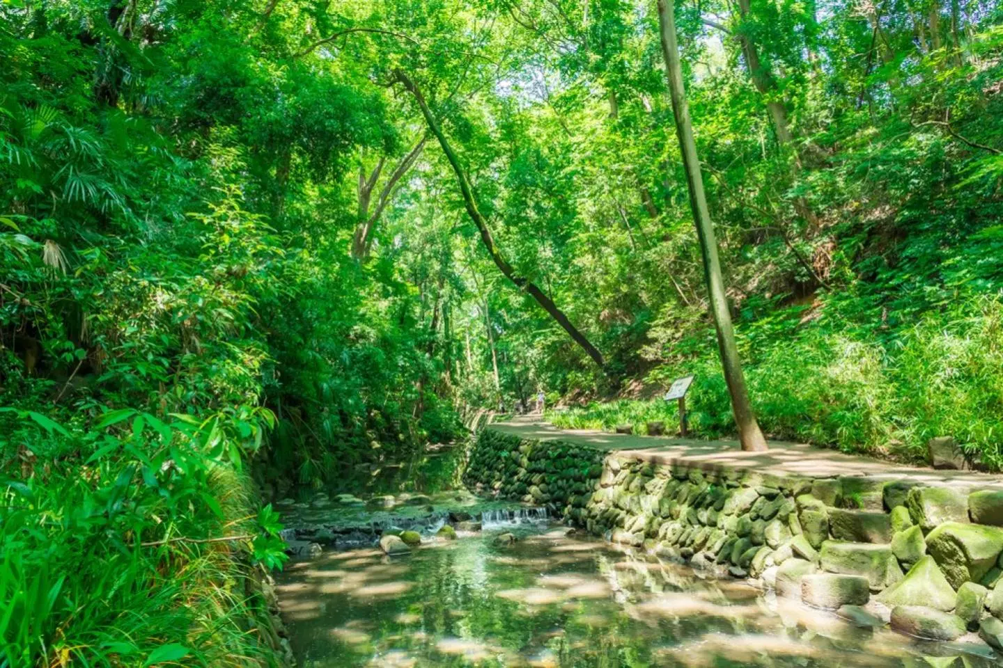 Todoroki Valley - main photo