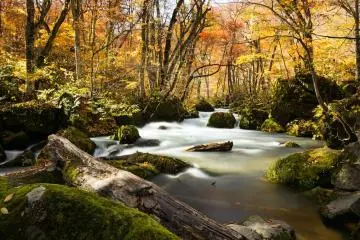 Oirase Stream