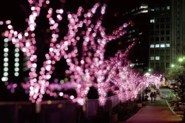 Winter Illuminations