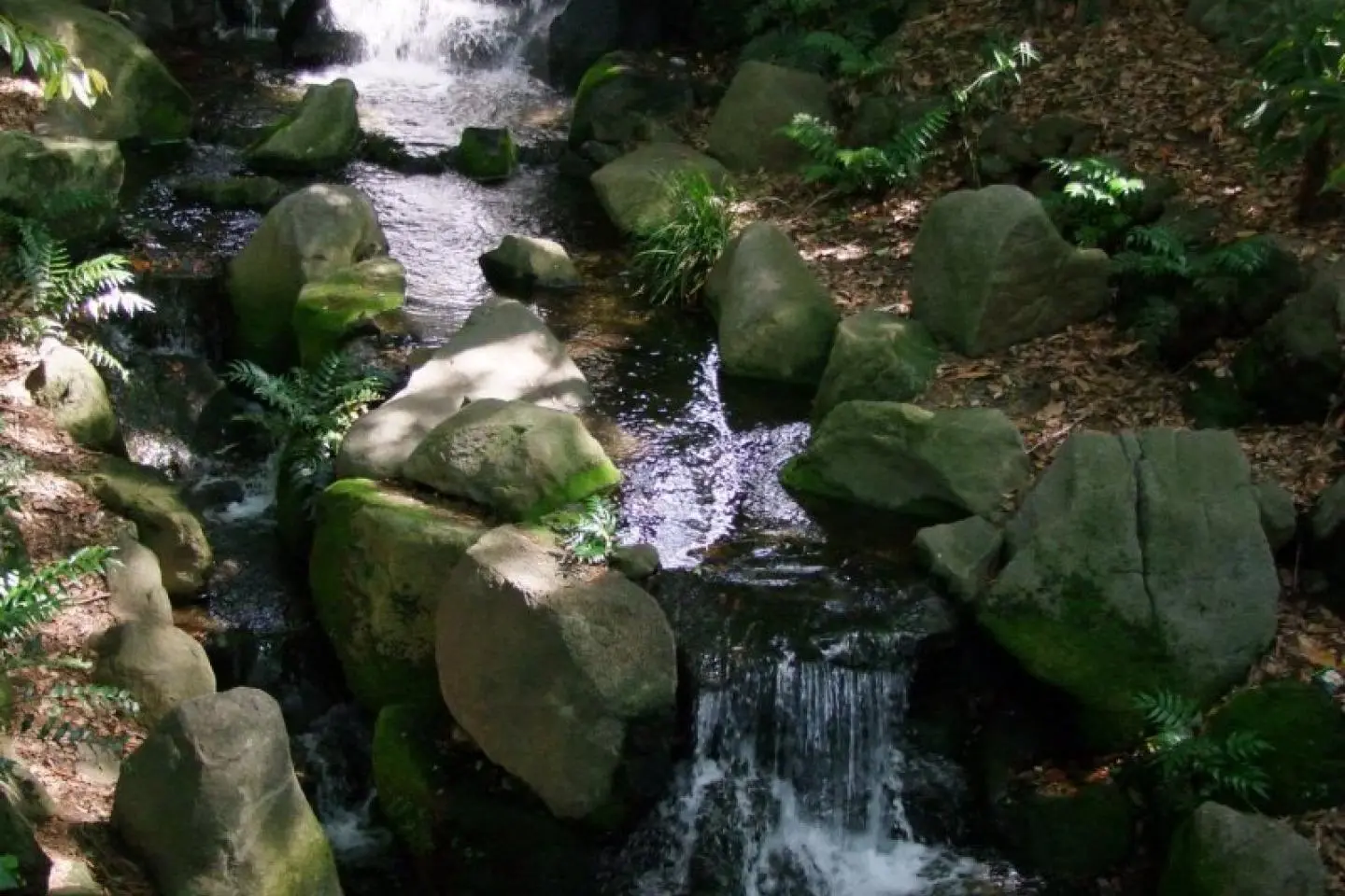 Togoshi Park - main photo