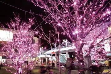 Nishikoyama Illuminations