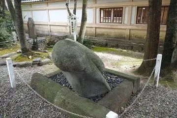 Lucky Rock