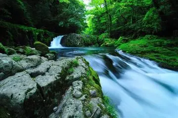 Kikuchi Gorge
