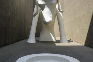 The Aomori Dog
