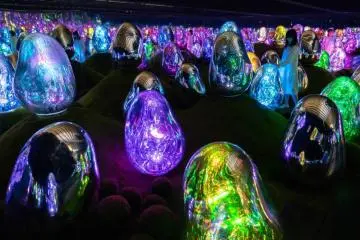 Moss Garden of Resonating Microcosms
