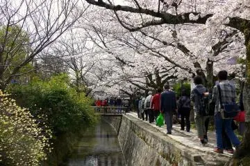 Philosopher’s Path