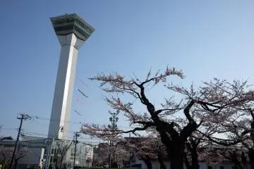 Goryokaku Tower