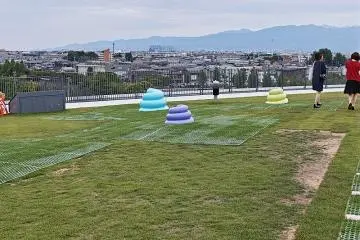 Onomatopoeia Rooftop