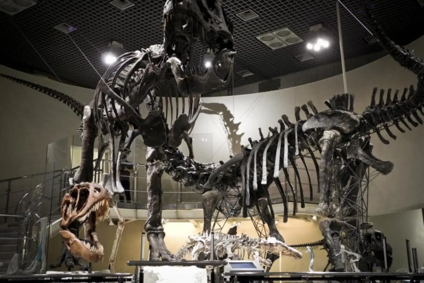 National Museum of Nature and Science - main photo