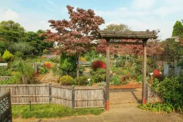 Kiba Park