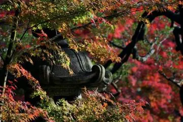 Rikugien Garden