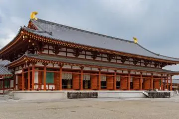 Daikodo