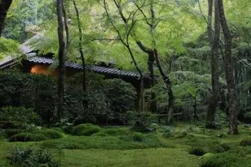 Gioji Temple