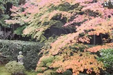 Keishunin Temple