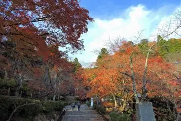 Kakyo Park
