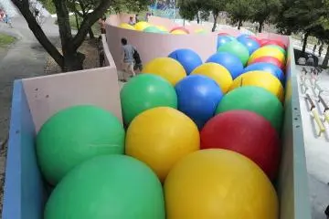 Piccaso’s Eggs