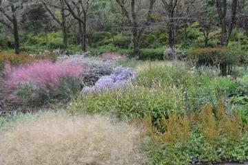 Piet Oudolf Garden Tokyo