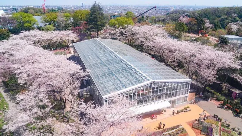 Hana Biyori - Tokyo Attractions - Japan Travel